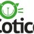 Cotico